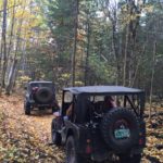 Jeeps in the woods